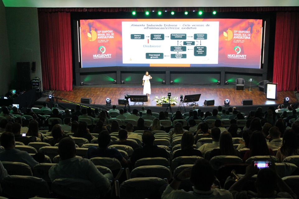 MB Comunicação Empresarial e Organizacional -