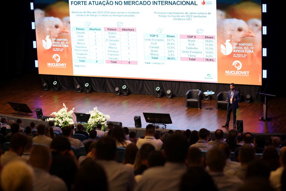MB Comunicação Empresarial e Organizacional -
