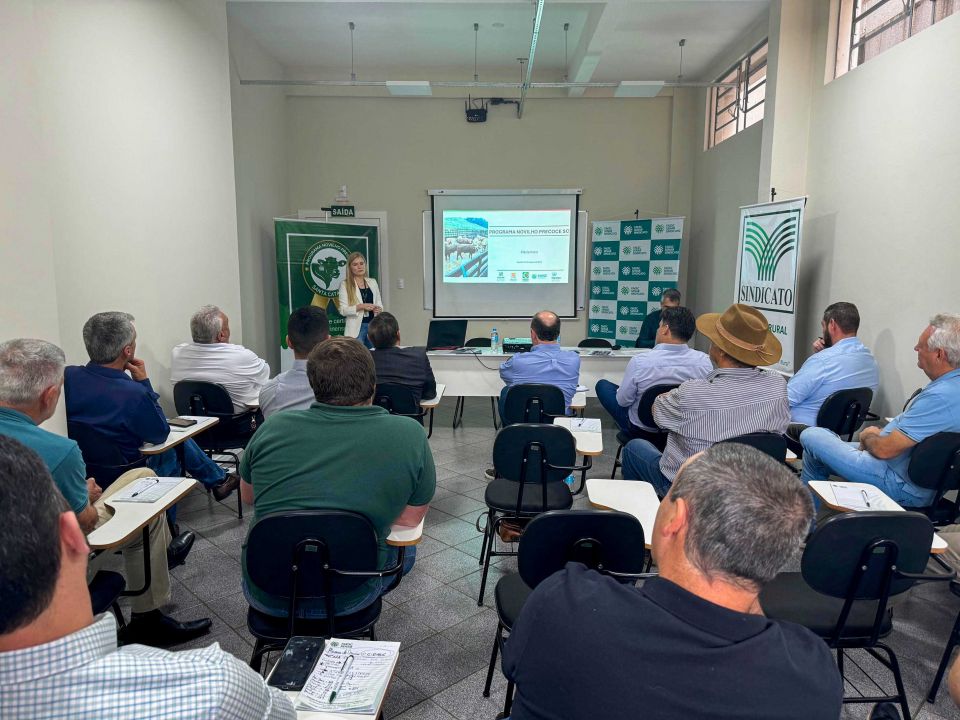 MB Comunicao Empresarial e Organizacional -