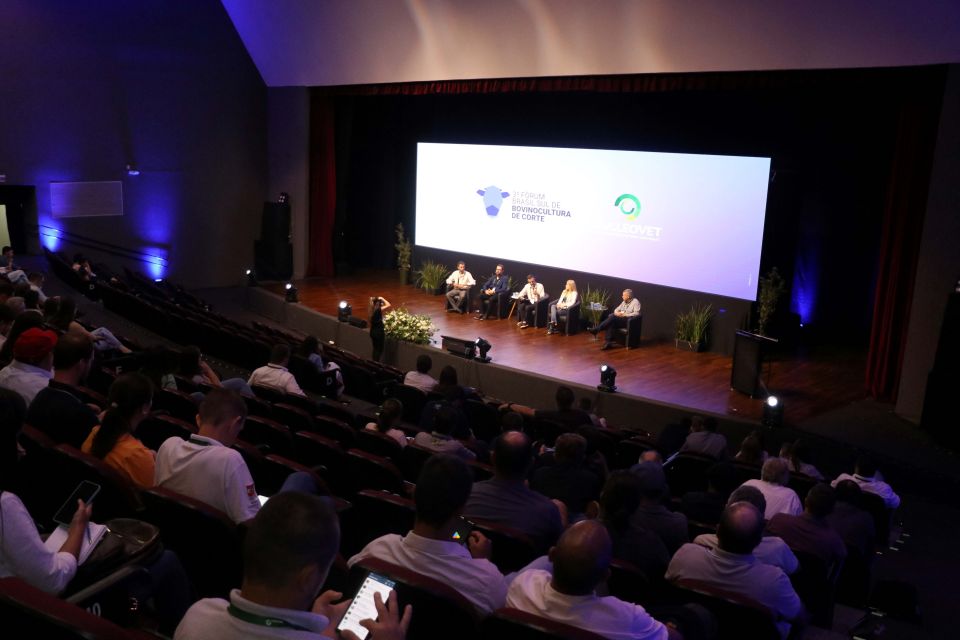 MB Comunicao Empresarial e Organizacional -