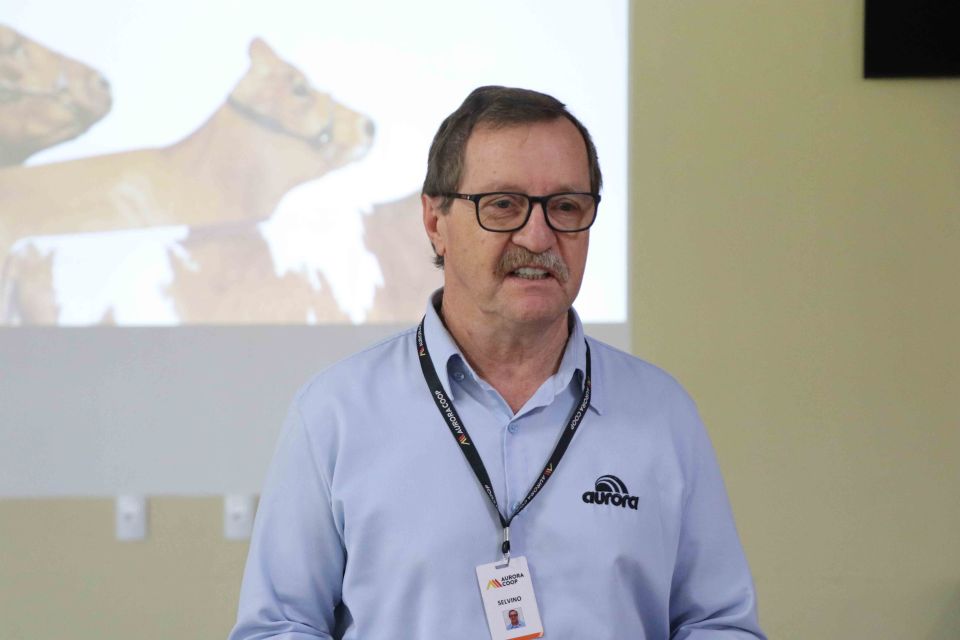 MB Comunicao Empresarial e Organizacional -