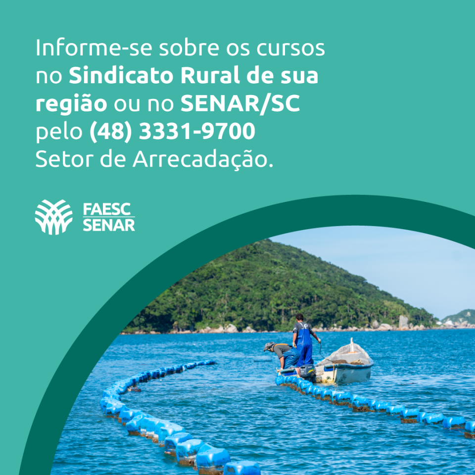 MB Comunicao Empresarial e Organizacional -