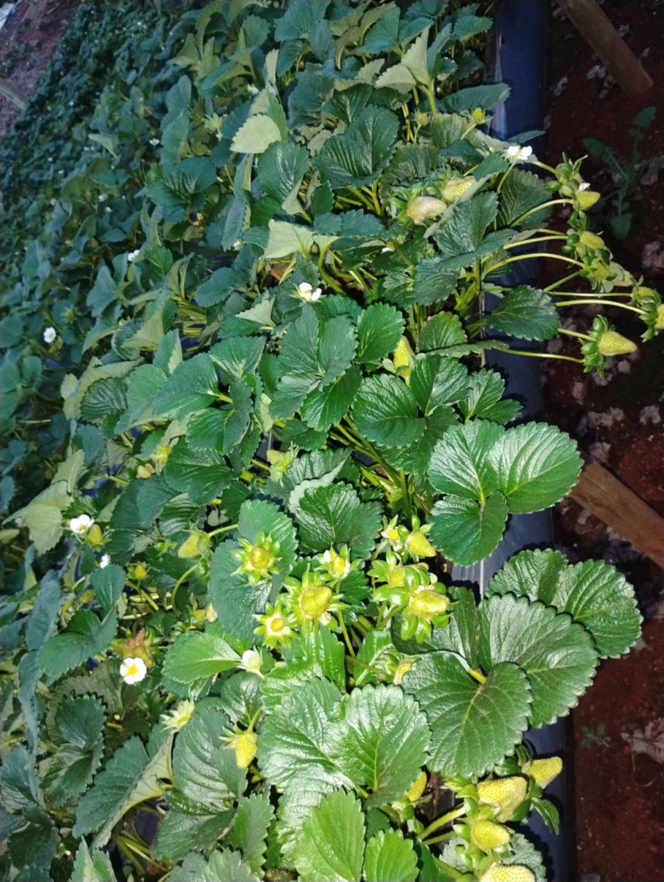 MB Comunicao Empresarial e Organizacional -