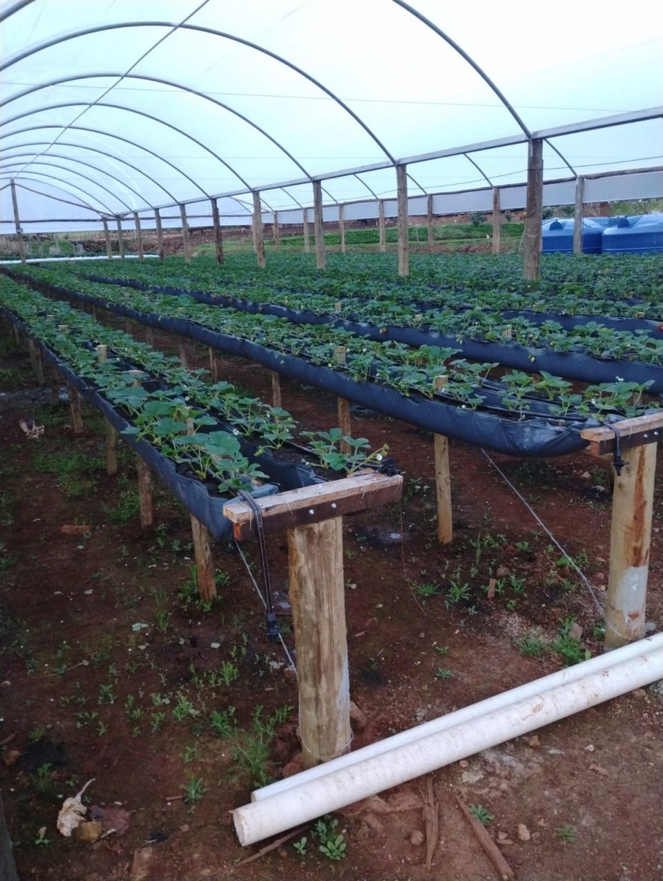 MB Comunicao Empresarial e Organizacional -