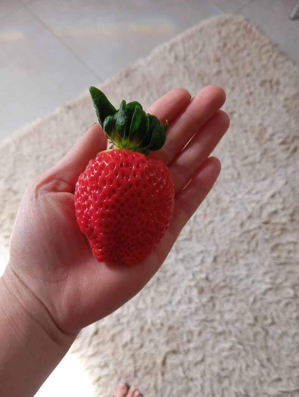 MB Comunicao Empresarial e Organizacional -