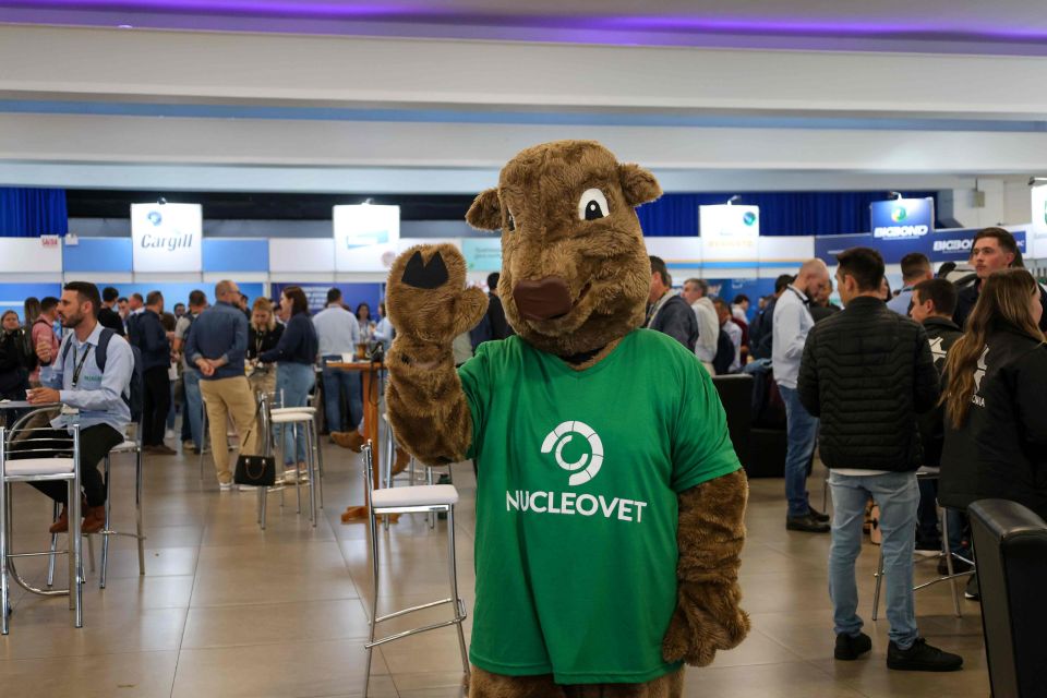 MB Comunicao Empresarial e Organizacional - 