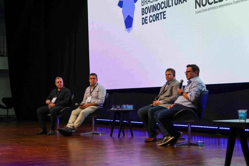 MB Comunicao Empresarial e Organizacional - 