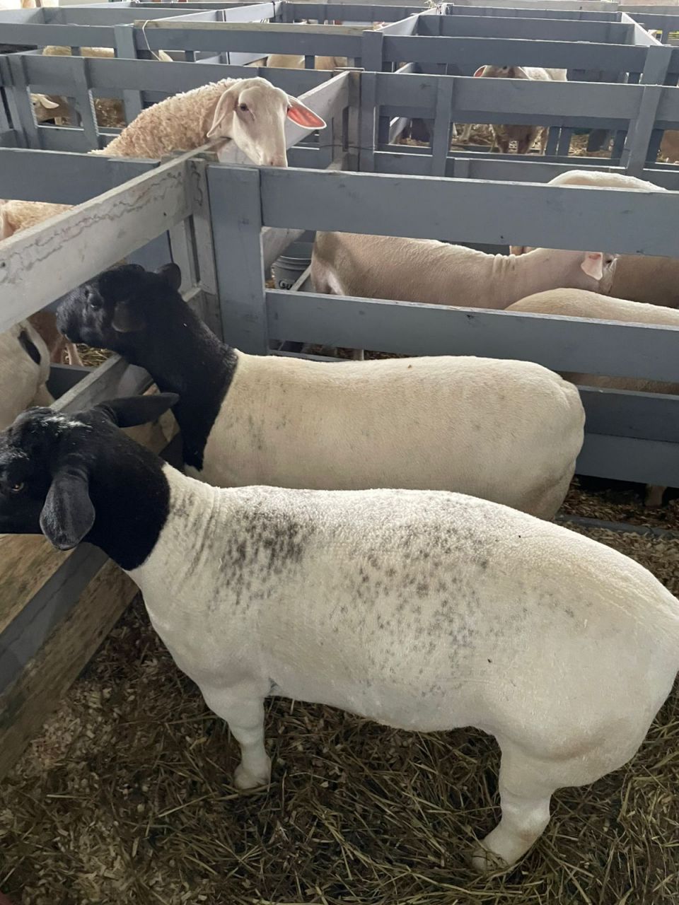 MB Comunicao Empresarial e Organizacional -