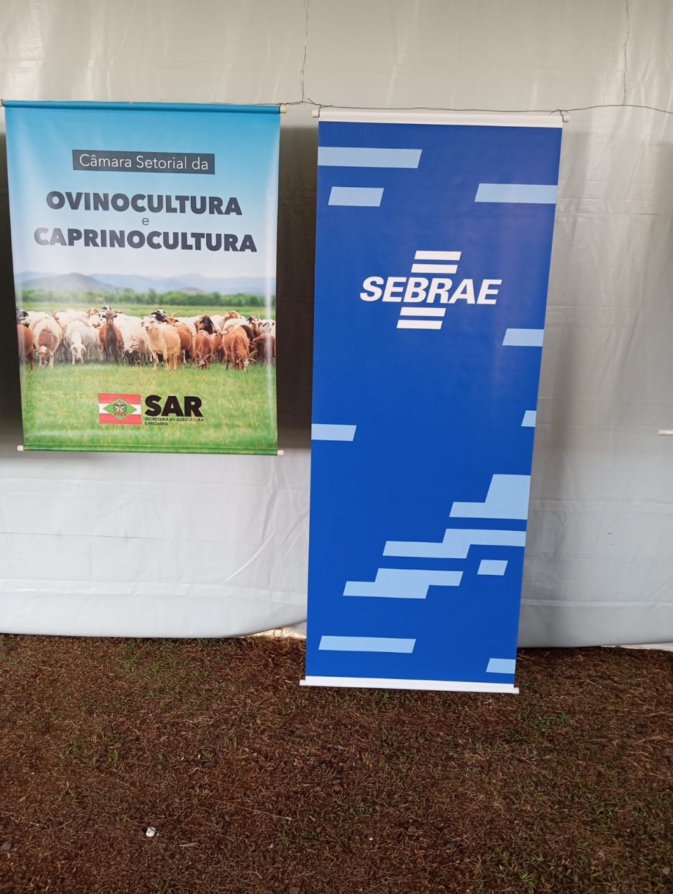 MB Comunicao Empresarial e Organizacional -