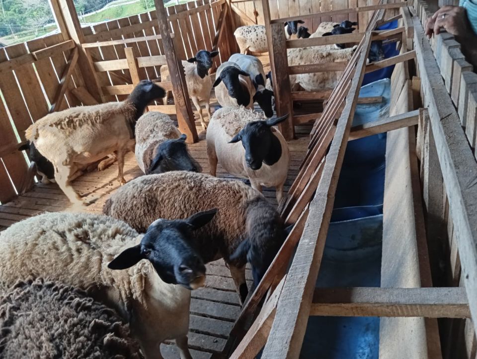 MB Comunicao Empresarial e Organizacional - 