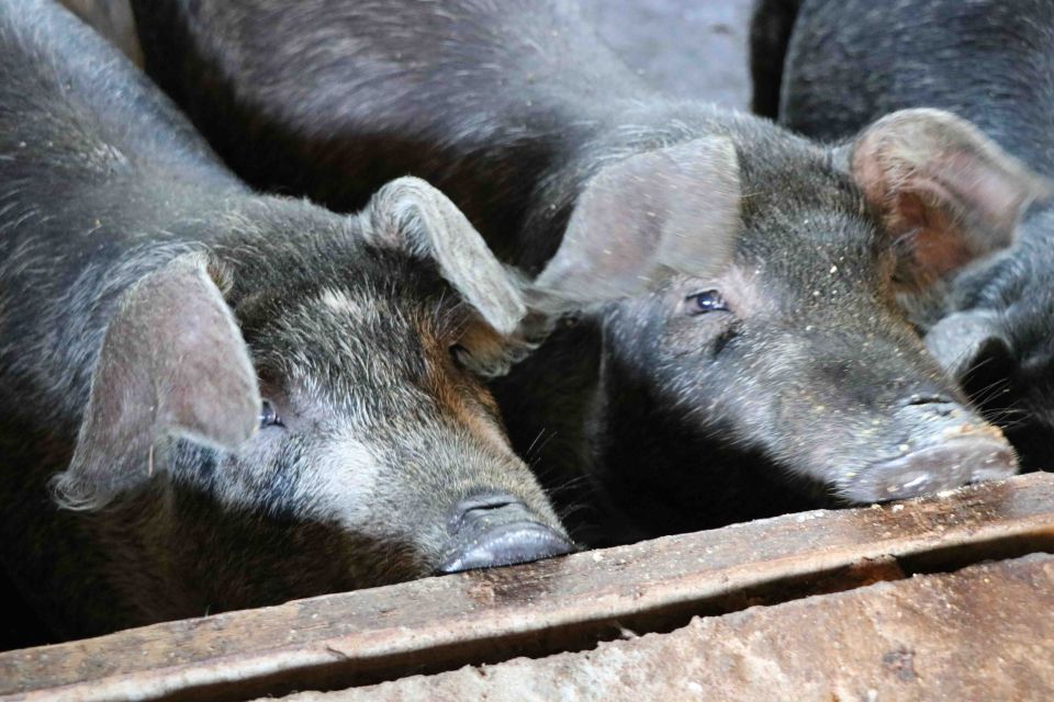 MB Comunicao Empresarial e Organizacional - 