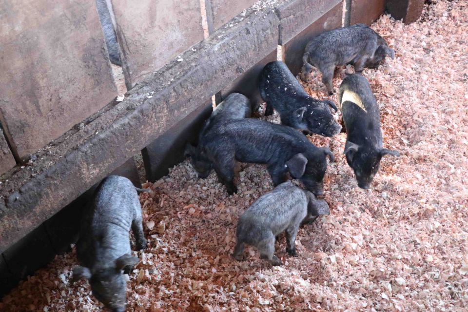 MB Comunicao Empresarial e Organizacional - 