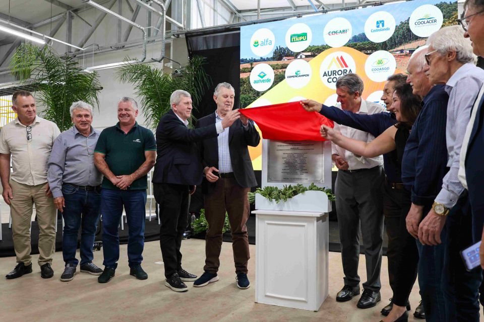 MB Comunicao Empresarial e Organizacional -