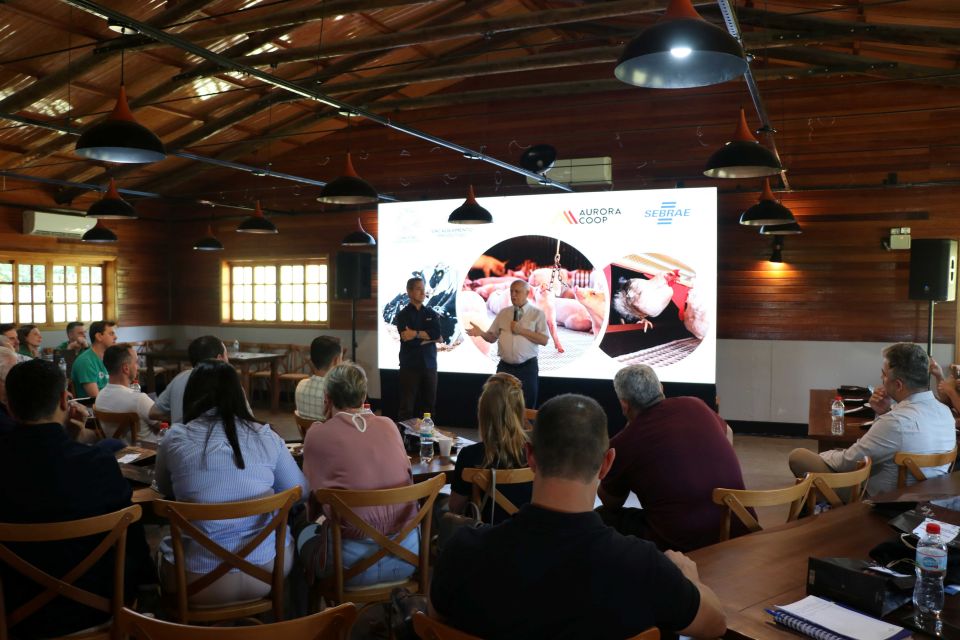 MB Comunicao Empresarial e Organizacional -