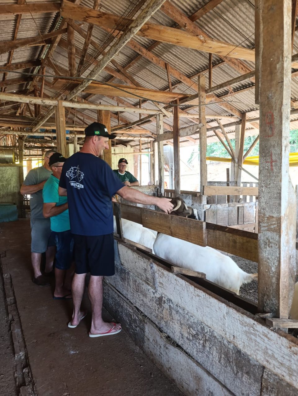 MB Comunicao Empresarial e Organizacional - 