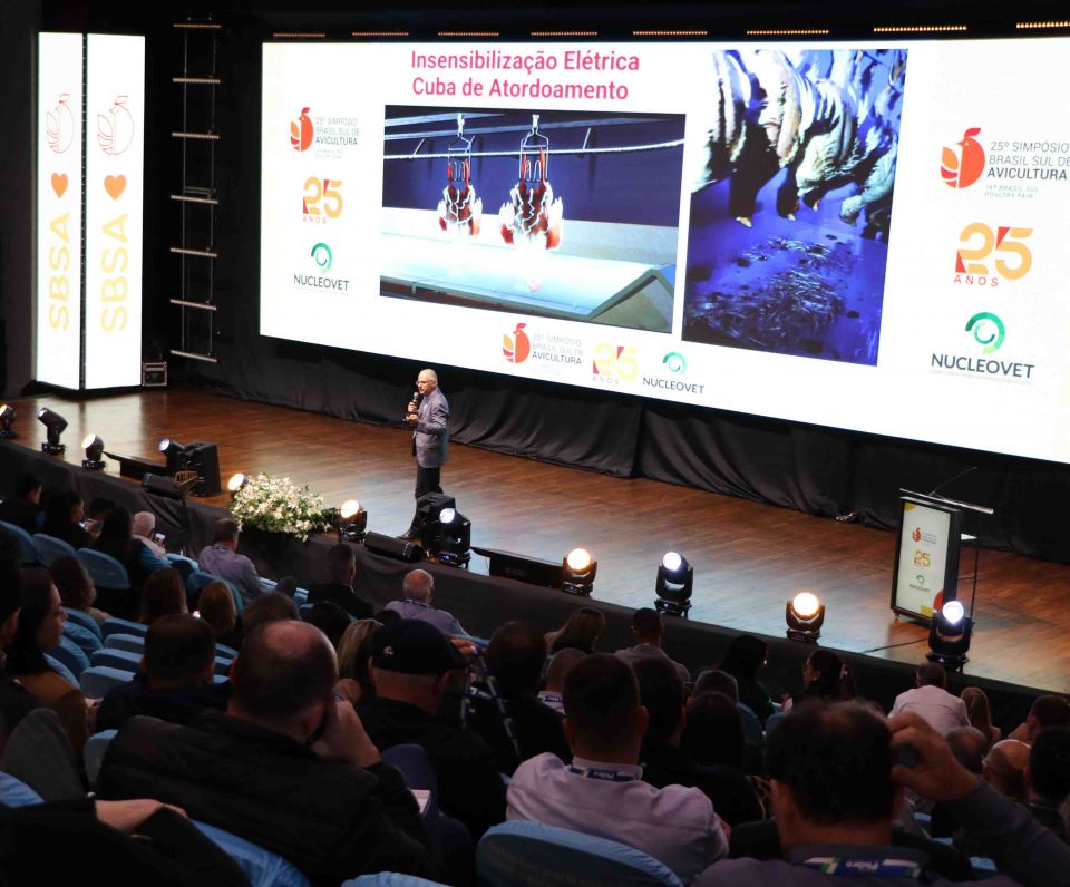 MB Comunica��o Empresarial e Organizacional -