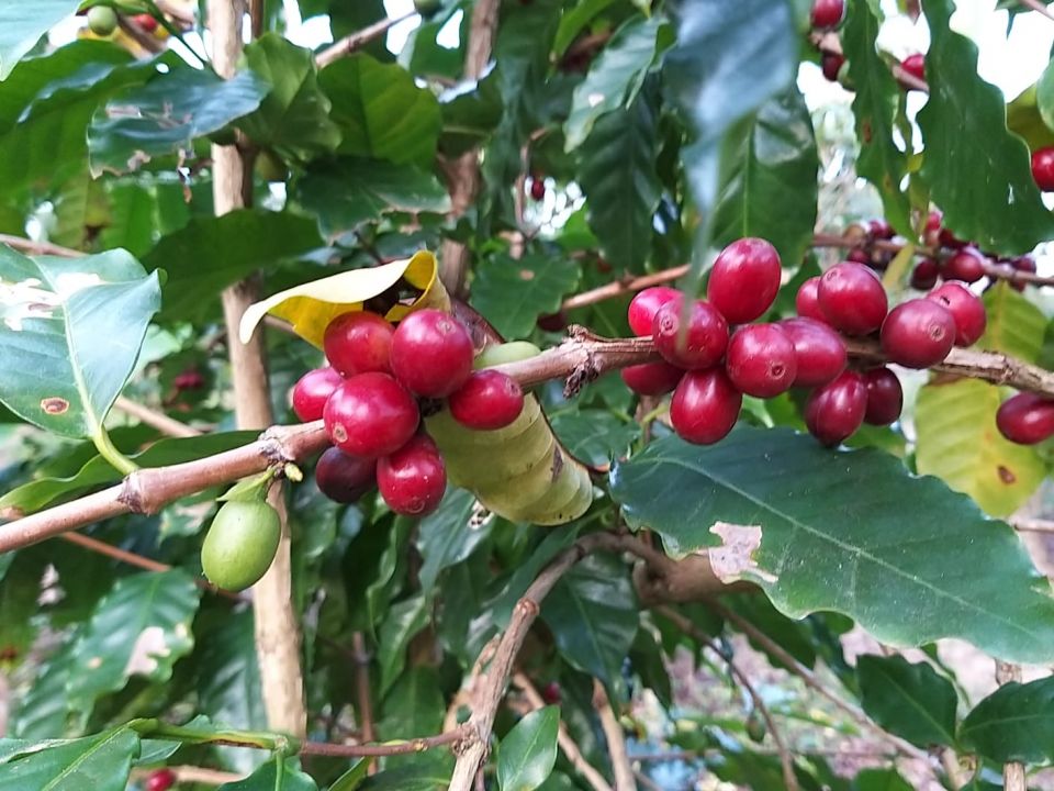 MB Comunica��o Empresarial e Organizacional -