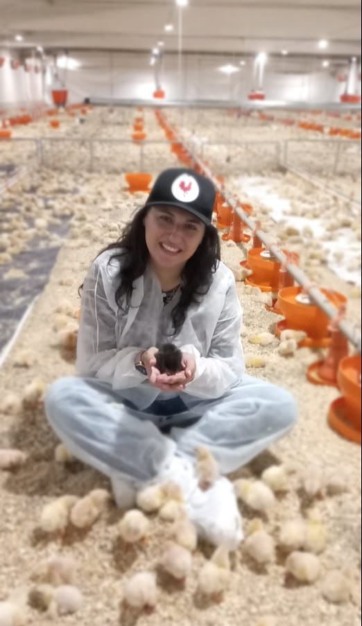 MB Comunica��o Empresarial e Organizacional -