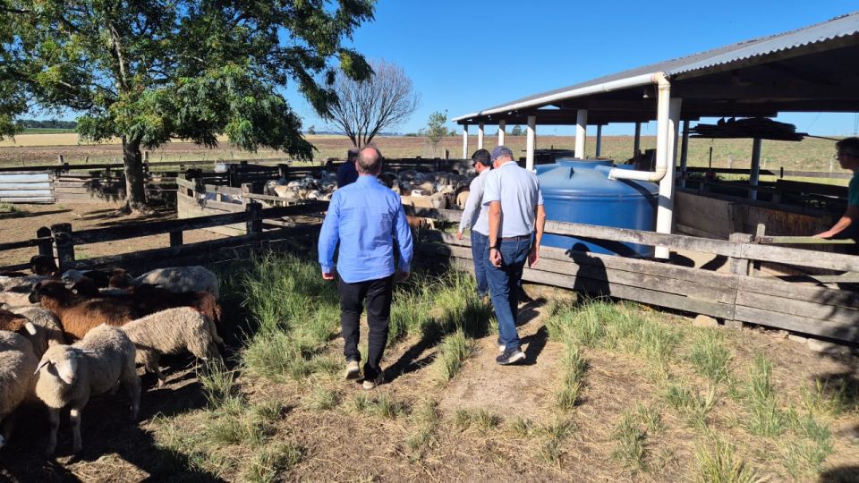 MB Comunica��o Empresarial e Organizacional -