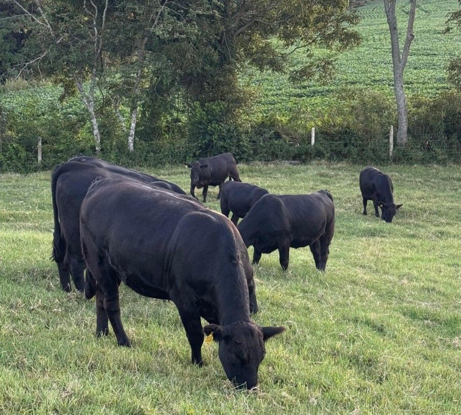 MB Comunica��o Empresarial e Organizacional -