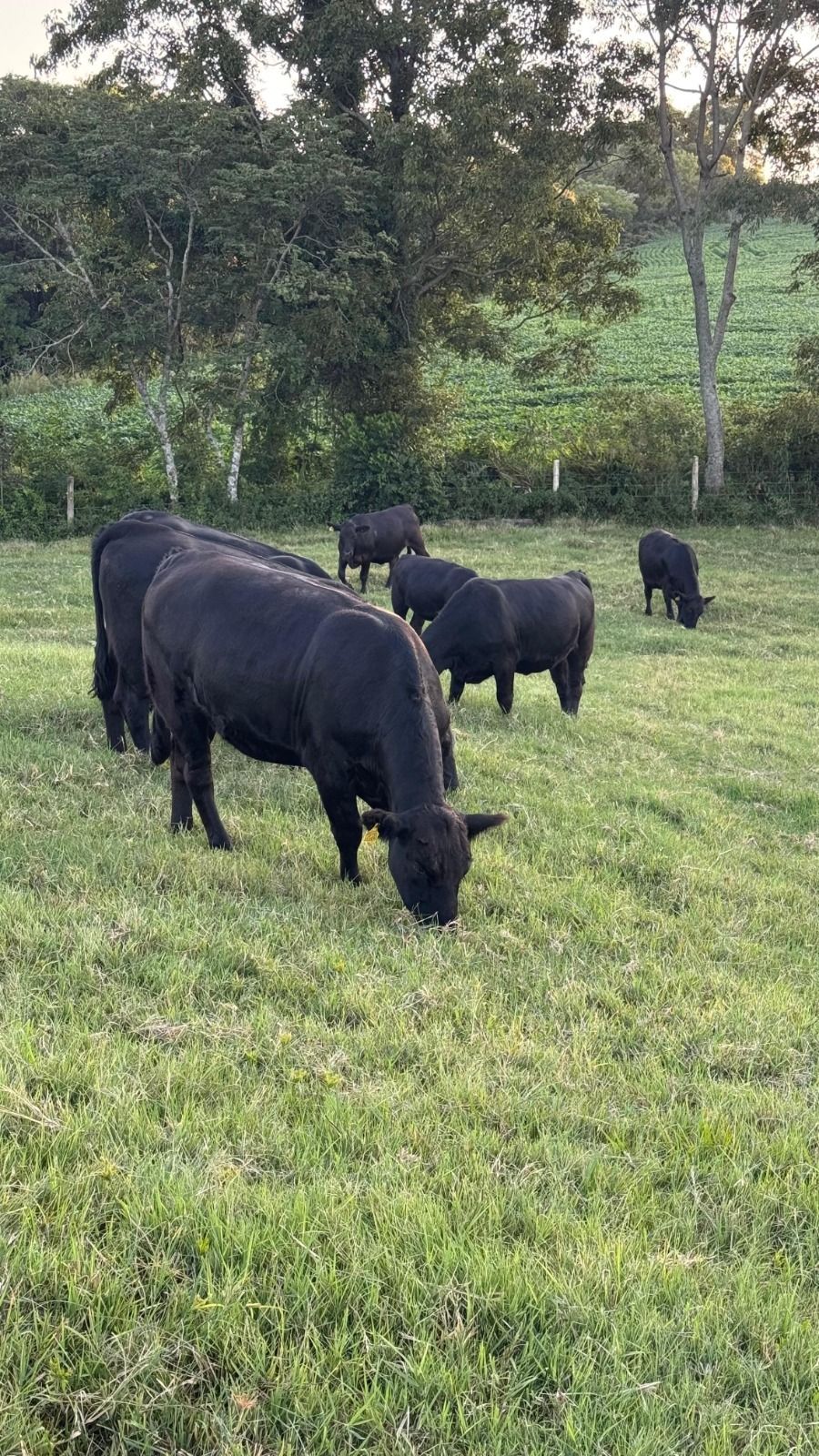 MB Comunica��o Empresarial e Organizacional -