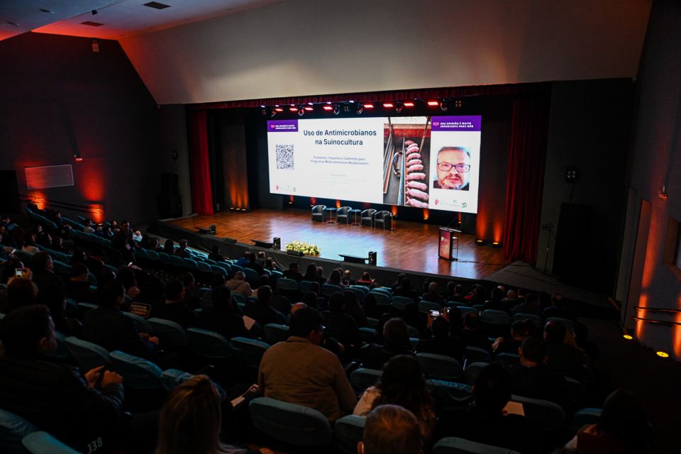 MB Comunica��o Empresarial e Organizacional - 