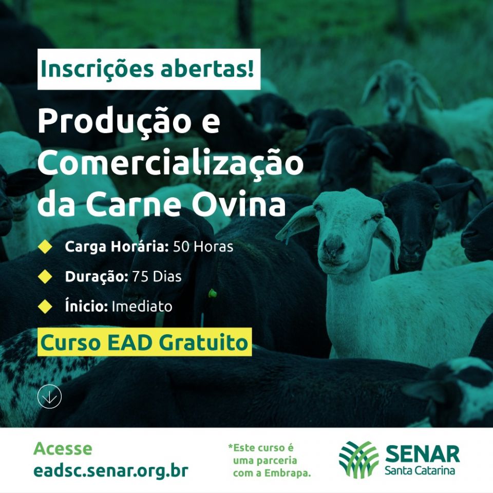MB Comunicao Empresarial e Organizacional -