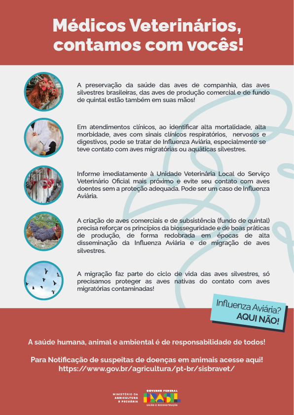 MB Comunicao Empresarial e Organizacional -