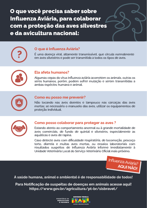 MB Comunicação Empresarial e Organizacional -