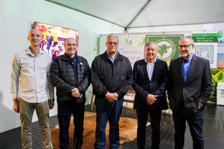 MB Comunicação Empresarial e Organizacional -