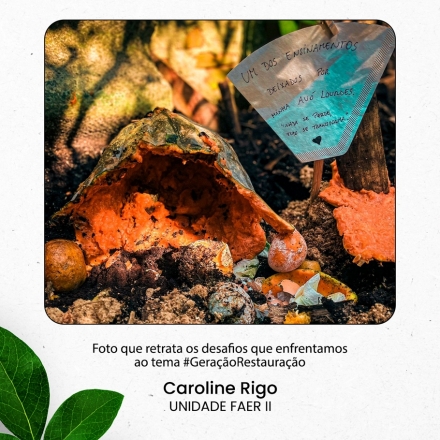 MB Comunicao Empresarial e Organizacional -