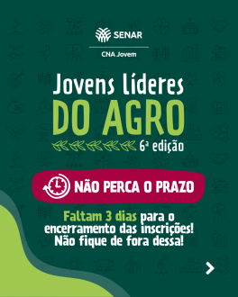 MB Comunicao Empresarial e Organizacional -