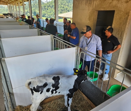 MB Comunica��o Empresarial e Organizacional - Entre as principais a��es realizadas est�o a constru��o de instala��es adequadas para o confinamento das vacas, o investimento no melhoramento gen�tico do plantel e a ado��o de pr�ticas de manejo mais eficientes. (Foto: MB Comunica��o)