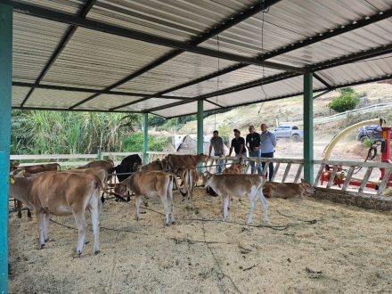 MB Comunica��o Empresarial e Organizacional - Visita t�cnica nas propriedades que atuam com bovinocultura de leite nos munic�pios de Irani e Lind�ia do Sul, no meio oeste de Santa Catarina (Foto: MB Comunica��o)