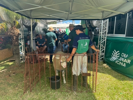 MB Comunica��o Empresarial e Organizacional - Palestras t�cnicas contaram com expressiva participa��o do p�blico do campo.