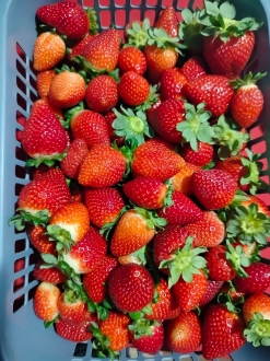 MB Comunica��o Empresarial e Organizacional -