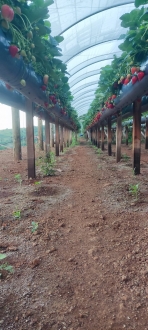 MB Comunica��o Empresarial e Organizacional -