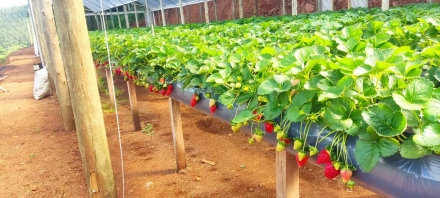 MB Comunica��o Empresarial e Organizacional - Os avan�os no aumento das vendas, prospec��o de novos clientes, expans�o do mix de produtos e investimentos em novas ferramentas de trabalho, s�o vis�veis. (Foto: Cristiane Krutzmann)