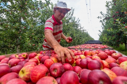 MB Comunica��o Empresarial e Organizacional - Boas perspectivas para a safra. (Foto: Ricardo Trida / SECOM)