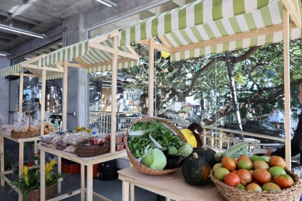 MB Comunica��o Empresarial e Organizacional - Desenvolvido como projeto piloto, o Impulsiona Agro teve sua primeira edi��o realizada ao longo de oito meses, com 36 pequenos produtores rurais. (Foto: Bruna Roman/MBComunica��o)