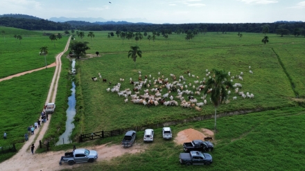 MB Comunica��o Empresarial e Organizacional - Em visita a campo, produtores observaram a qualidade dos animais e as pr�ticas de manejo. (Foto Divulga��o)