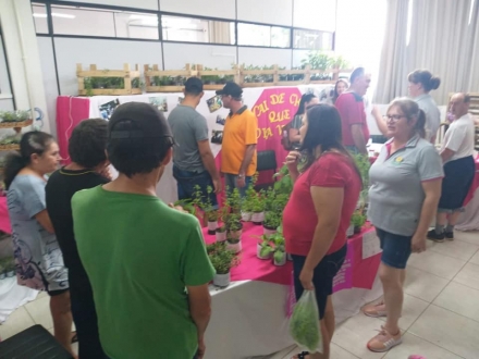 MB Comunicação Empresarial e Organizacional - 