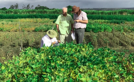 MB Comunicao Empresarial e Organizacional - Cada vez mais, propriedades destacam-se pela qualidade, organizao, produtividade, tecnologia e gesto eficiente (Foto: Embrapa).